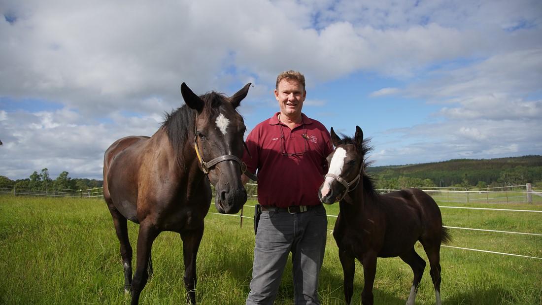 Oliver with his horses